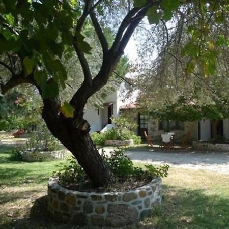 Traditionelles Appartement Athos Shadow Am Meer Paralia Sikias Esterno foto