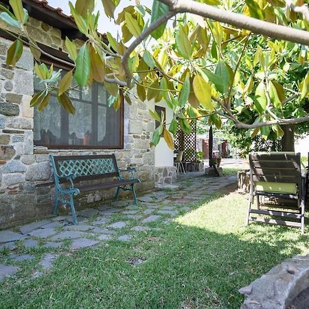 Traditionelles Appartement Athos Shadow Am Meer Paralia Sikias Esterno foto