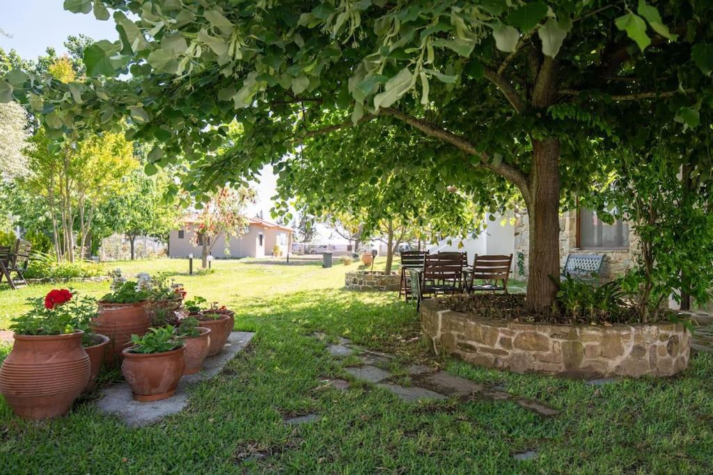 Traditionelles Appartement Athos Shadow Am Meer Paralia Sikias Esterno foto
