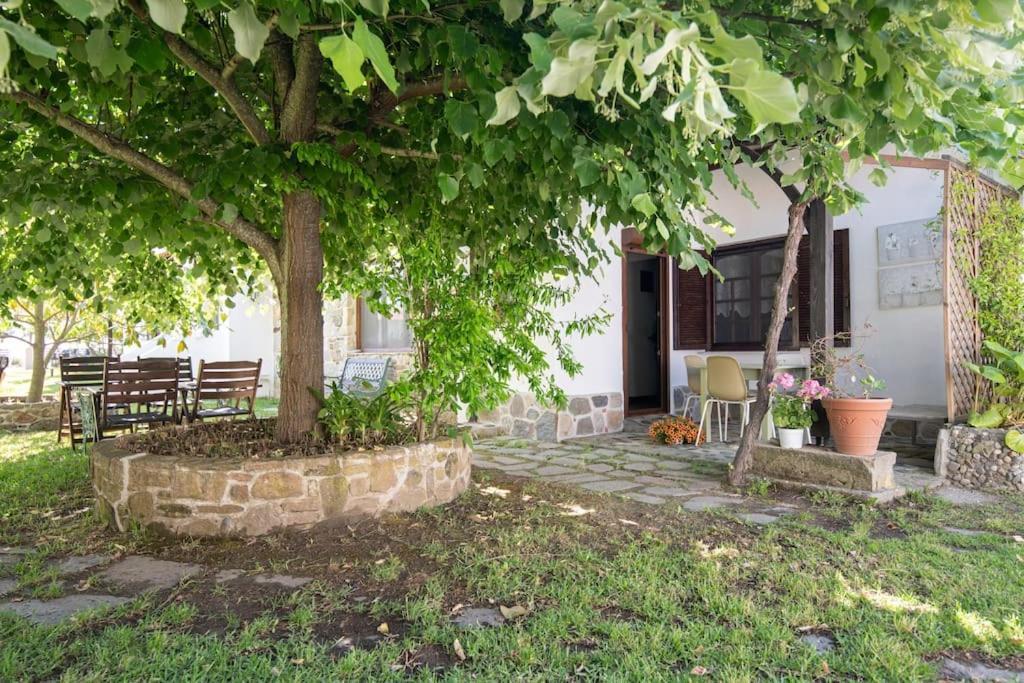 Traditionelles Appartement Athos Shadow Am Meer Paralia Sikias Esterno foto