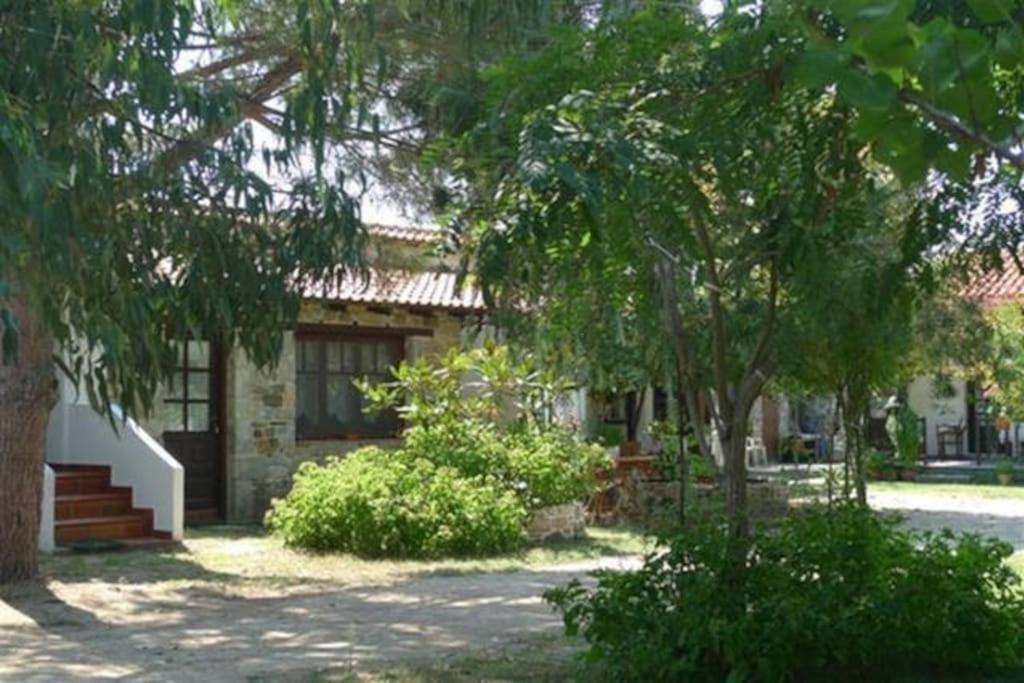 Traditionelles Appartement Athos Shadow Am Meer Paralia Sikias Esterno foto