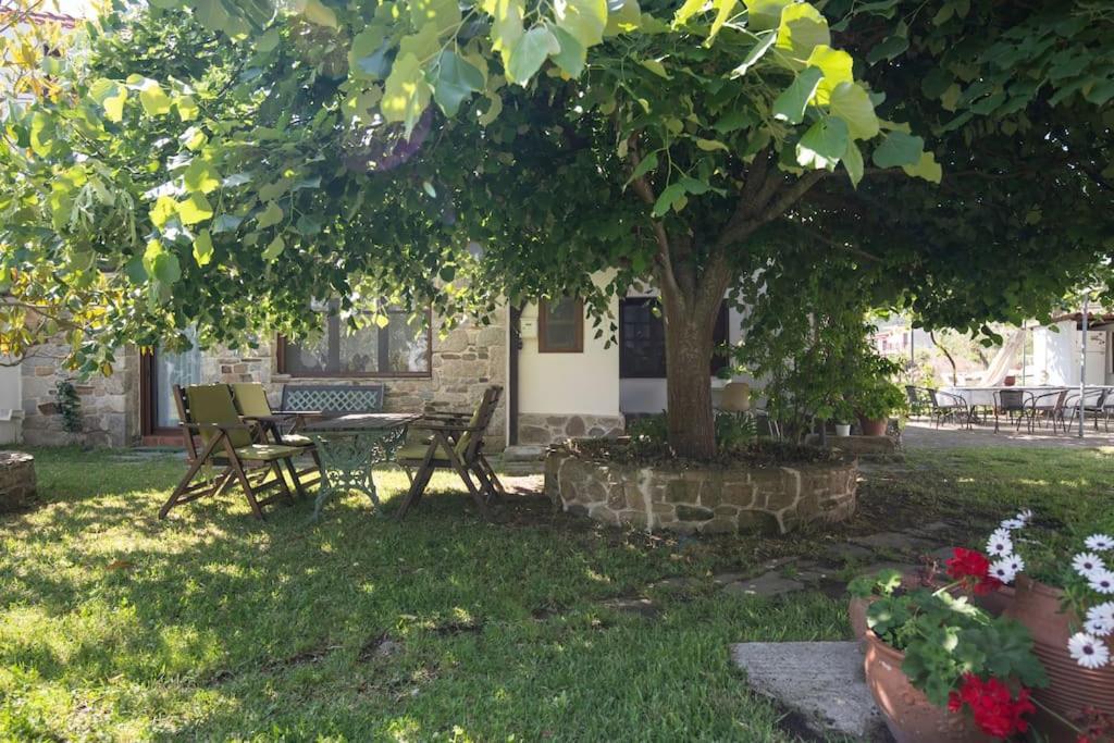Traditionelles Appartement Athos Shadow Am Meer Paralia Sikias Esterno foto